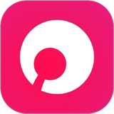 贝锐蒲公英游戏版