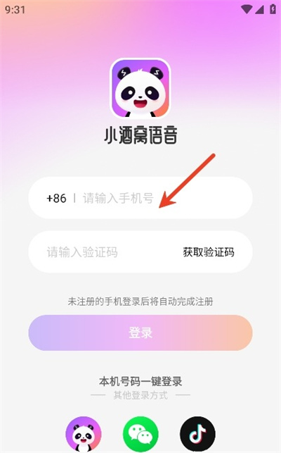 小酒窝语音平台