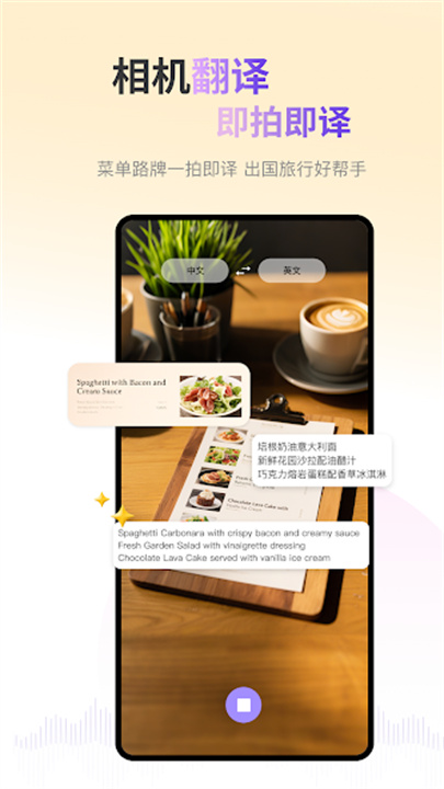ViiTor实时翻译软件截图1
