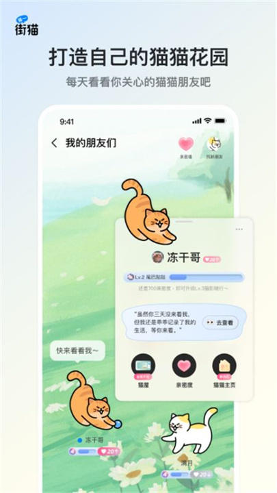 哈啰街猫app截图2