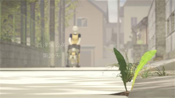 蒲公英不屈手机版截图4