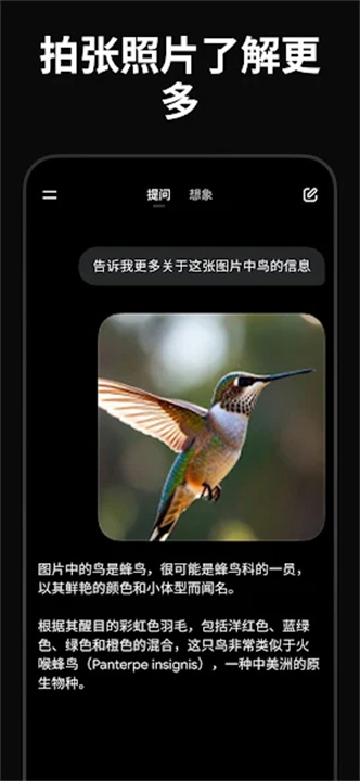 GrokAi手机版截图4